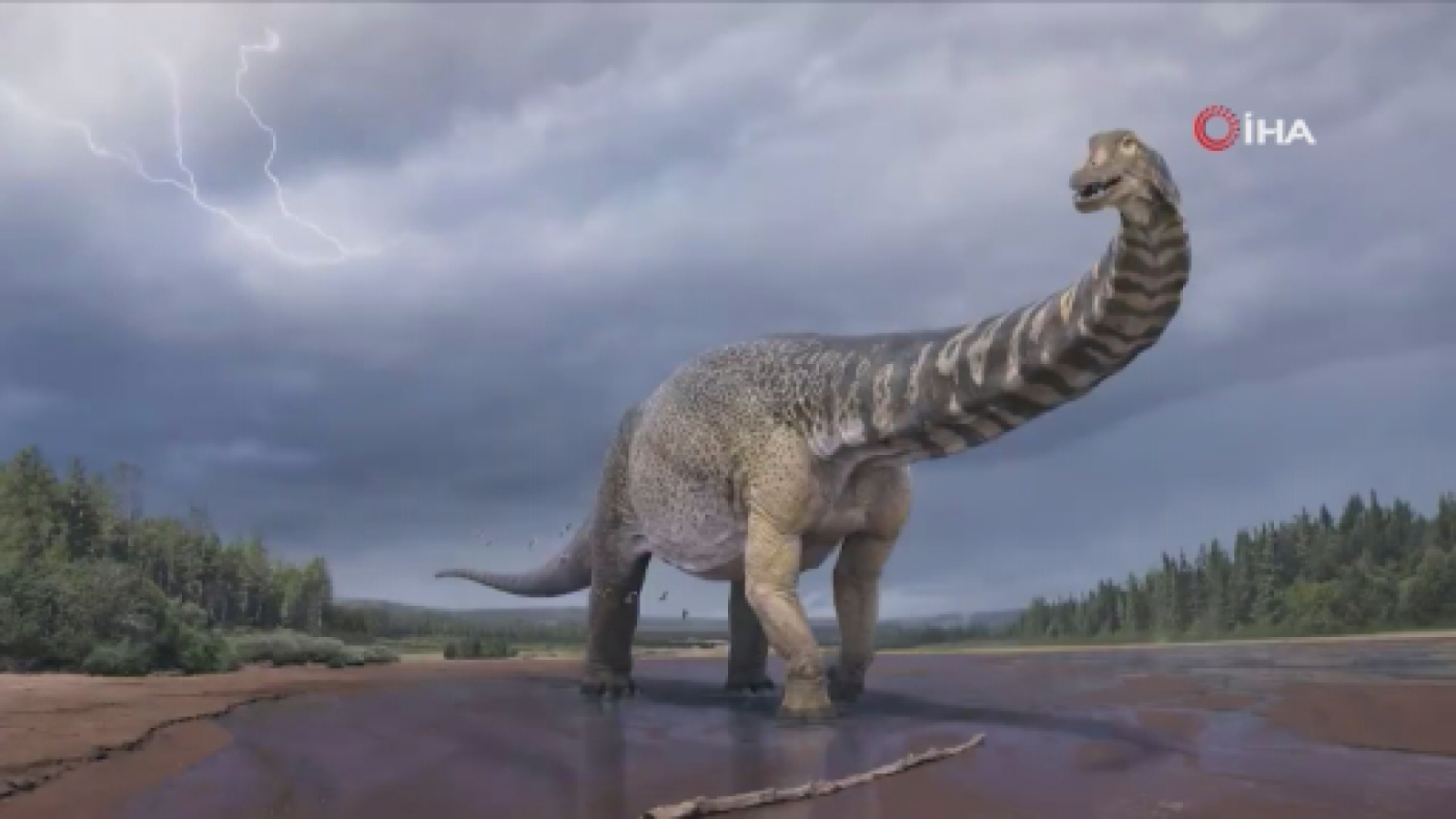 Avustralya’da kıtanın en büyük dinozoru keşfedildi
