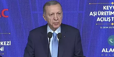 Cumhurbaşkanı Erdoğan duyurdu: Hepatit A aşısı ülkemizde de üretilecek!