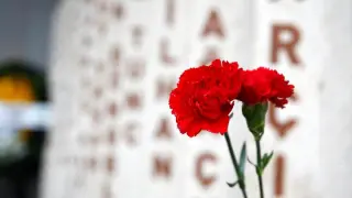 5 soruda yeni düzenleme: Şehit aileleri ve gazilerin haklarında neler değişti?