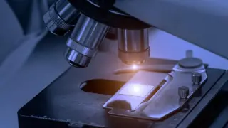 Kritik ürün ve teknolojiler yerli imkanlarla geliştirilecek